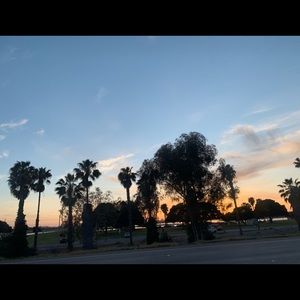 Meet your Posher, Deisy